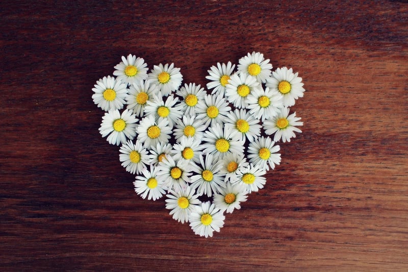 self-love